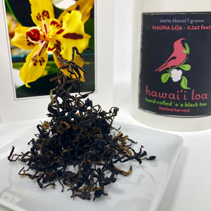 Hawaii Loa Volcanic Black Tea: hand-rolled a'a black, spring 2019 vintage