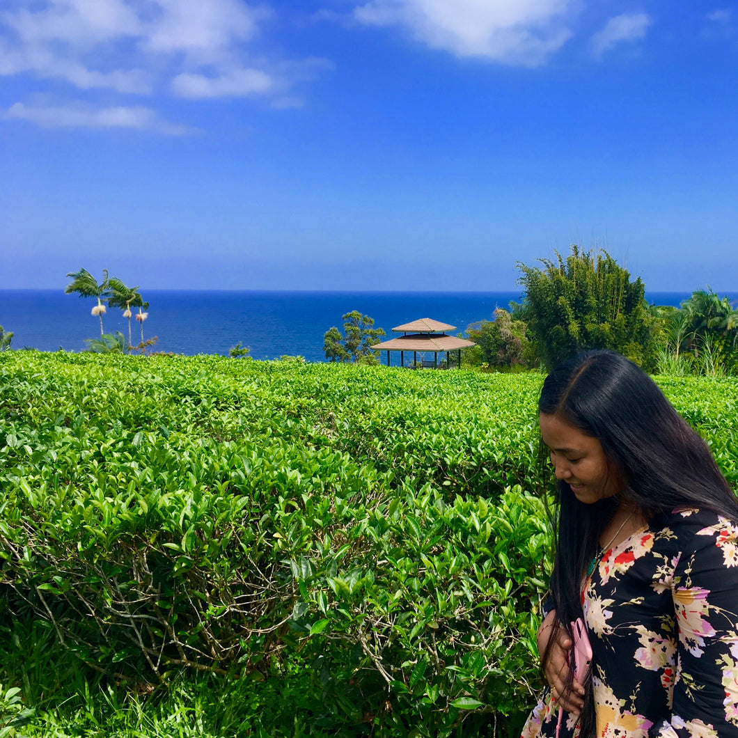 Hawaii Loa Volcanic Green Tea: Hamakua Coastal Cliff, spring 2019 vintage