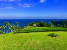 Load image into Gallery viewer, Hawaii Loa Volcanic Green Tea: Hamakua Coastal Cliff, spring 2019 vintage