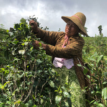 Load image into Gallery viewer, Namhsan Red USDA Certified Organic drinking tea